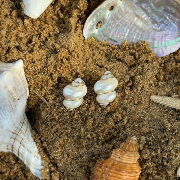 Shell Earrings
