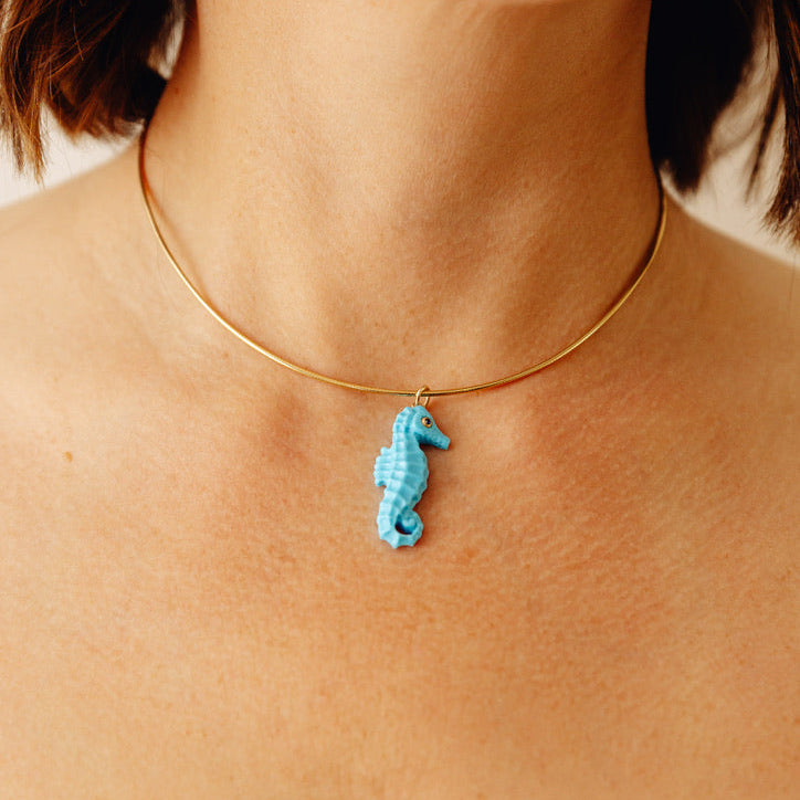 Seahorse pendant on human